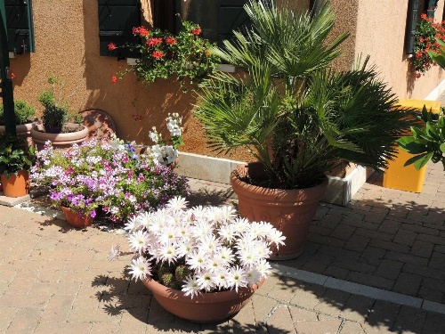 Country House Country Club image 2