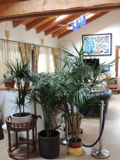 Country House Country Club image 21