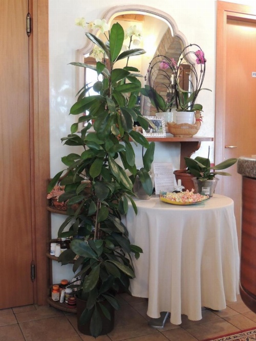 Country House Country Club image 27