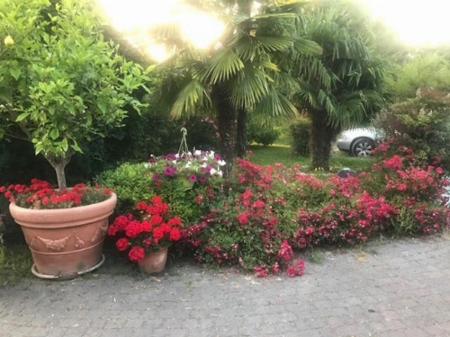 Country House Country Club image 34